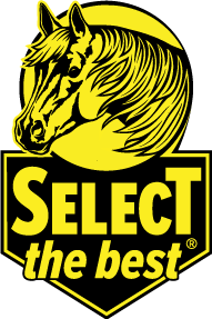 STB Horse Logo