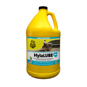 HylaLUBE