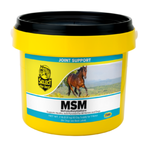 MSM